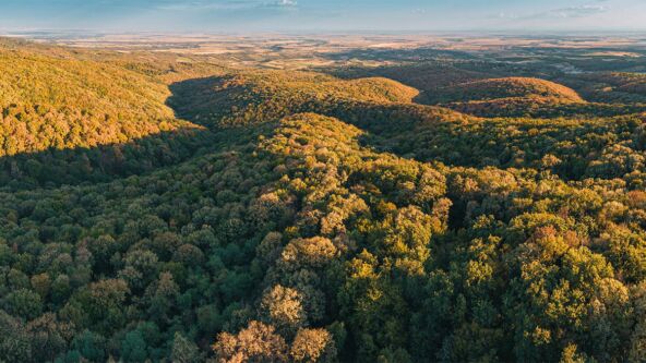 Fruška gora (4).jpg