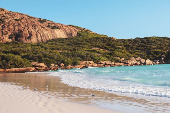 Wharton plaža, Australija