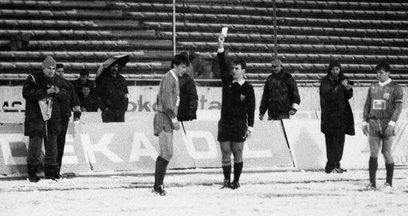 Damir Lesjak