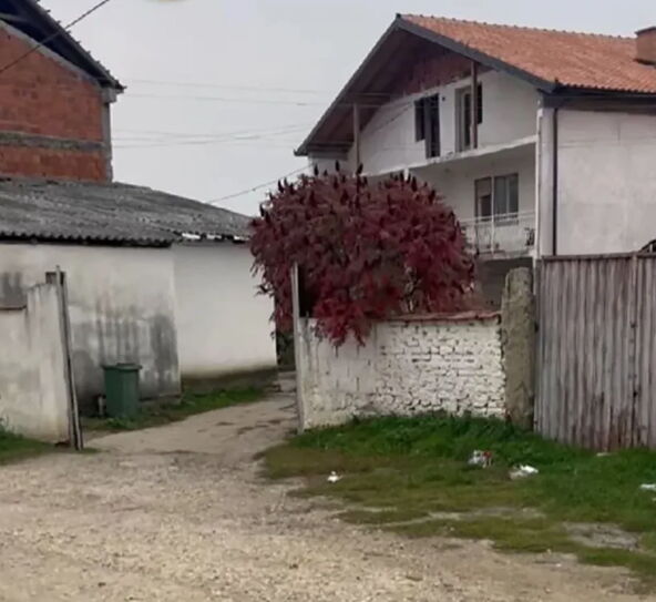 Rodna kuća Jane Todorović (1).png