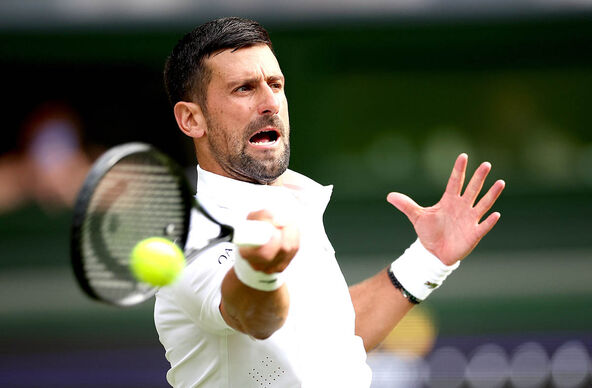 Novak Đoković - Jibing Vu3.jpg