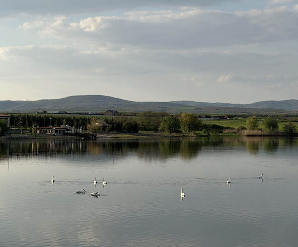 Pavlovačko jezero - hacijenda Novaka Đokovića (4).jpg