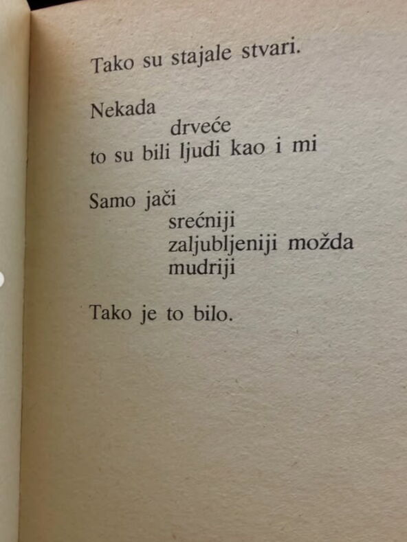 Dragana Kosjerina citat knjiga.jpg