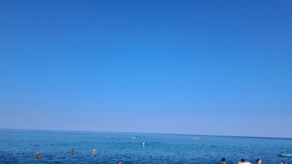 Hobotnica na plaži u Grčkoj (1).jpg