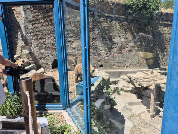 medvedice zoo vrt 2.jpg