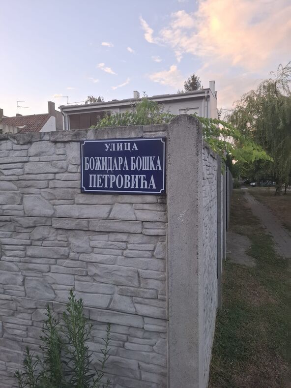 Ulica Božidara Petrovića