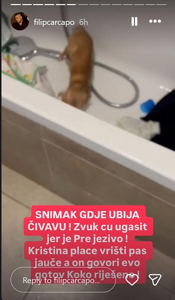 Kristijan Golubović mrtav pas