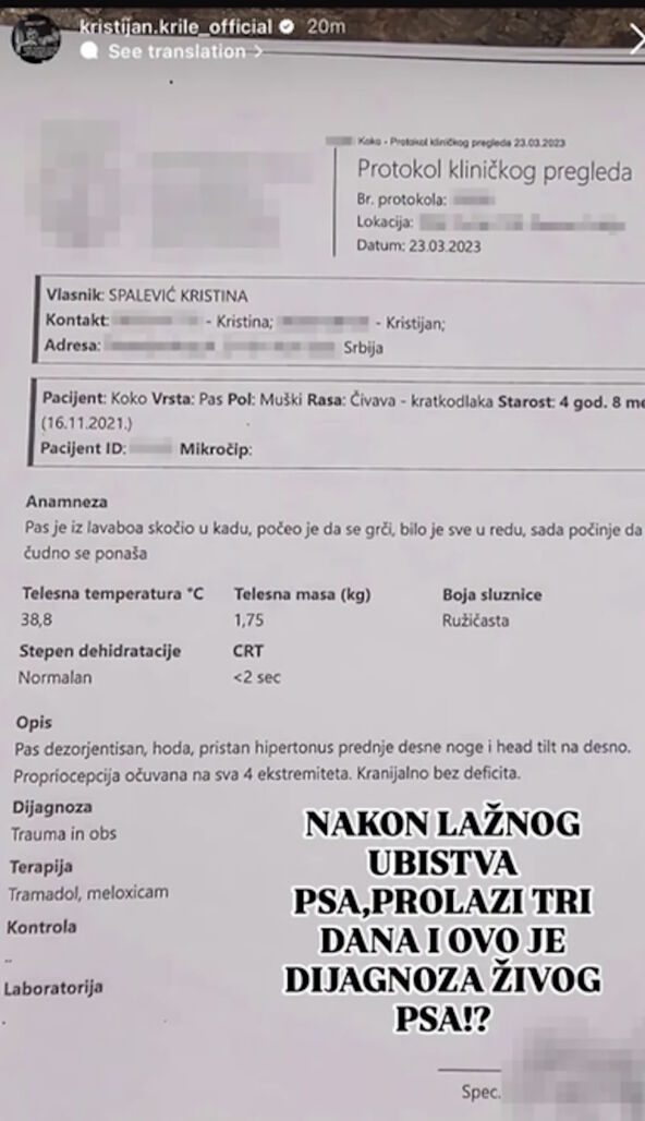 Izveštaj veterinara o psu Kristijana Golubovića