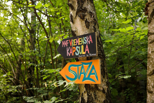 MMF foto Dobrica Mitrović  (1).jpg