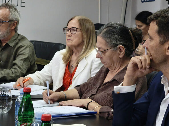 sednica REM (1).jpg