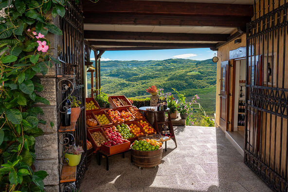 Motovun Istra Hrvatska