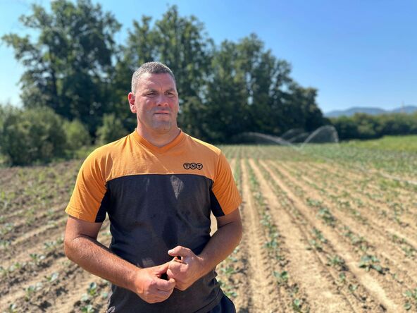 Tropski talas na srpskim njivama