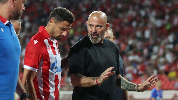 Dejan Stanković (1).jpg