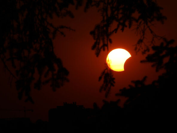 Pomračenje sunca na Kalemegdanu (1).jpg