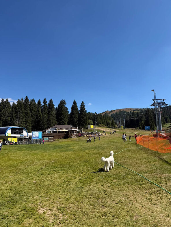 Kopaonik leto 2026 (2).jpg