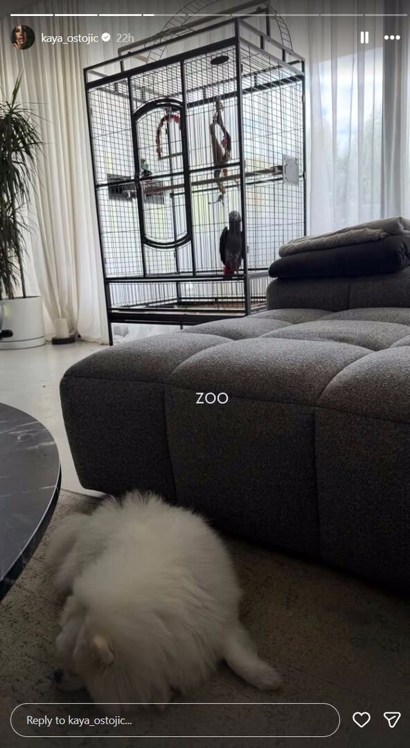 kaja1.jpg