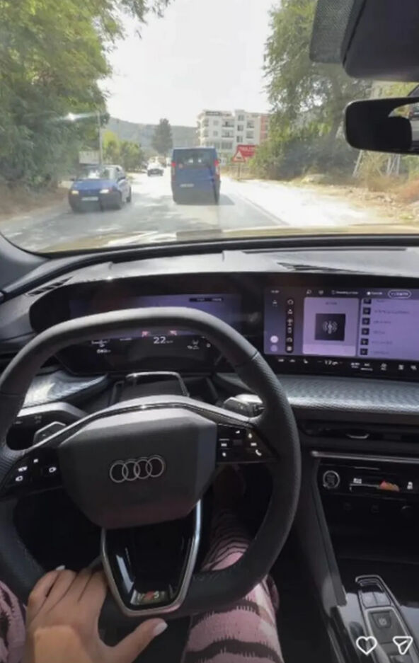 Irena Radulović objava Ig auto.jpg