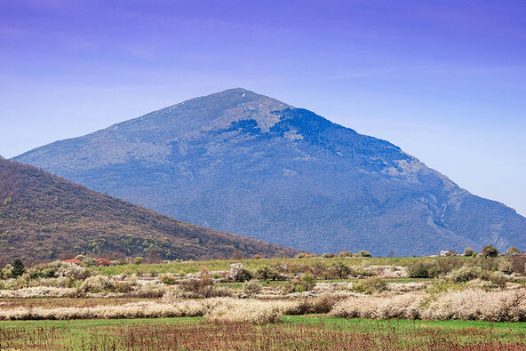 planina Rtanj (1).jpg