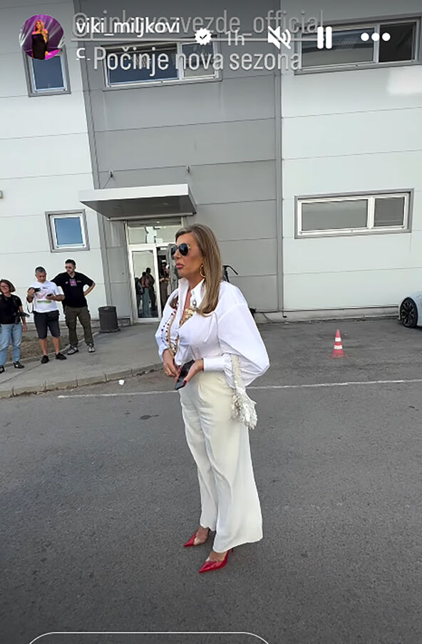 Viki Miljković Pinkove zvezde (1).jpg
