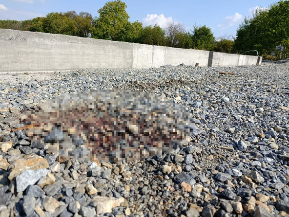 Mesto gde je usmrćen muškarac u Novoj Pazovi (2).jpg