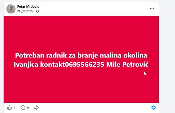 Mile Petrović