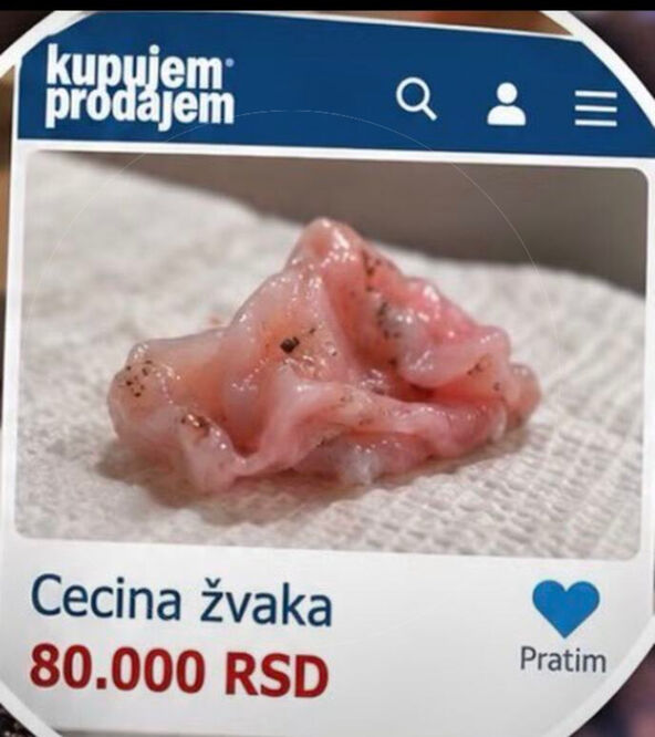 Ceca Žvaka