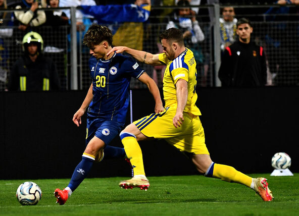 Bosna i Hercegovina - Švedska 2.jpg