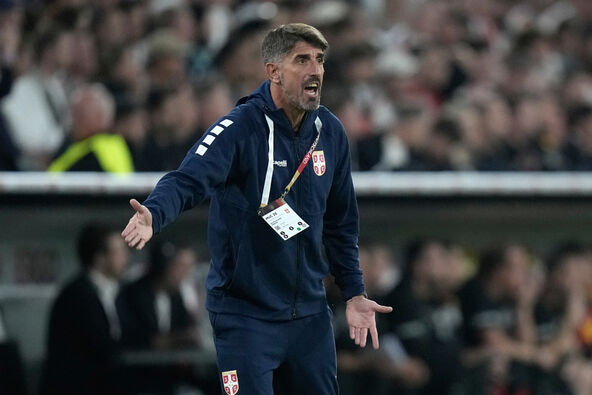 Veljko Paunović vodi Srbiju na utakmici protiv Nemačke