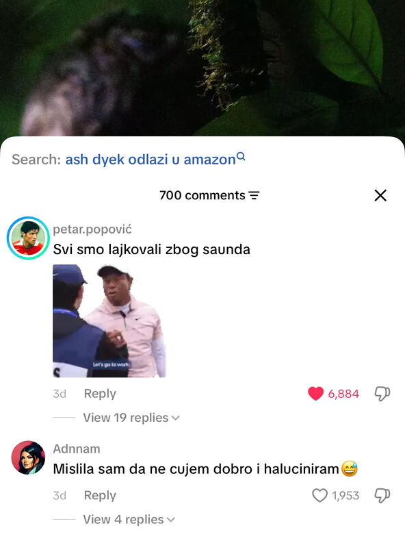 Aš Dajks komentari