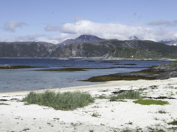 Sommarøy (1).jpg