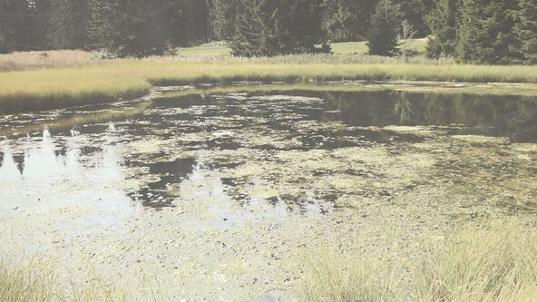 Dajićko_jezero_na_planini_Goliji_foto_RINA_1 copy.jpg