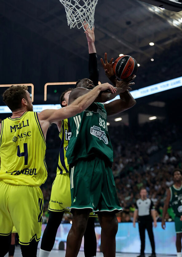 Panatinaikos - Fenerbahče (2).jpg
