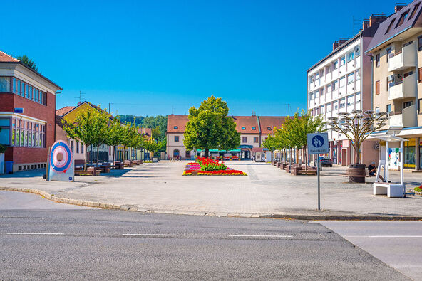 Grad u Hrvatskoj Ludbreg nosi titulu centra sveta (1).jpg