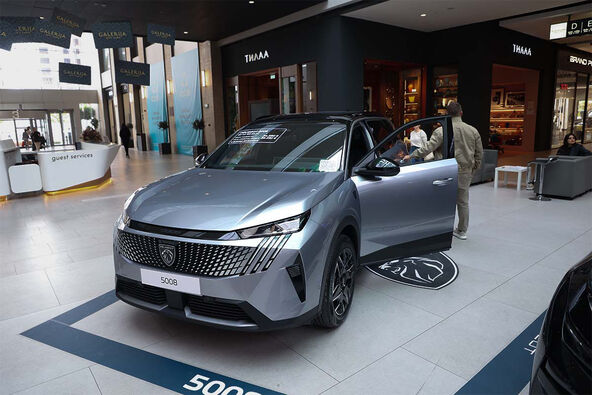 PEUGEOT (1).jpg
