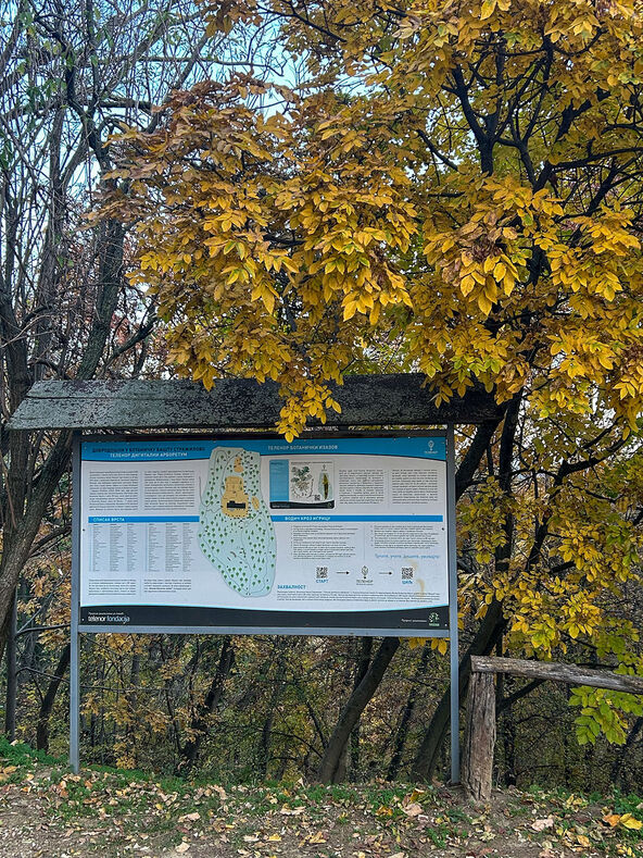 Fruška gora.jpg