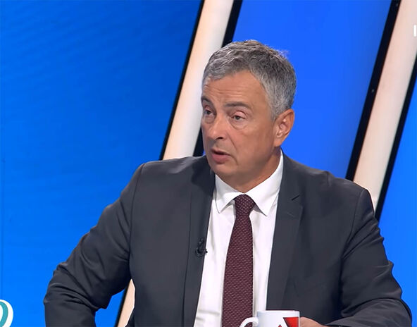 Dejan Šoškić (1).jpg