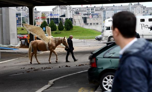Jedinstveni akrobatski šou sa 20 konja na sceni, održan je po prvi put u Srbiji, u Kombank Areni, sa predstavom ”Pegasus”!