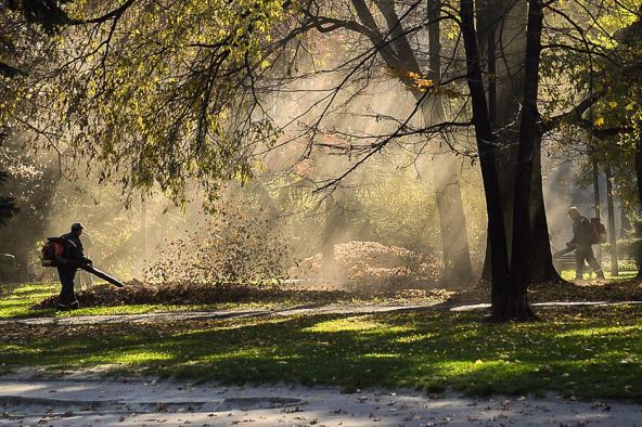 Beograd - zašto volim Beograd