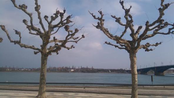 Francuska - vrućine - isključili nuklearke