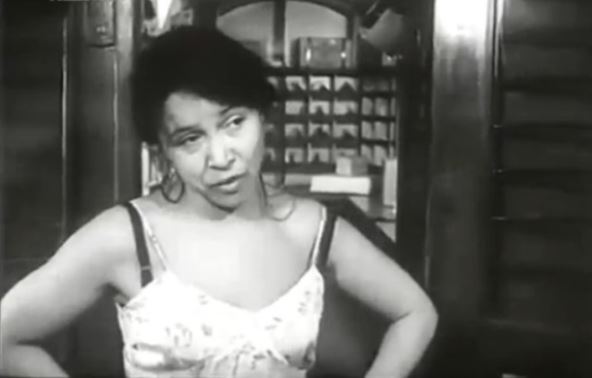 Dara Čalenić - kolumna Mladena Nikolića