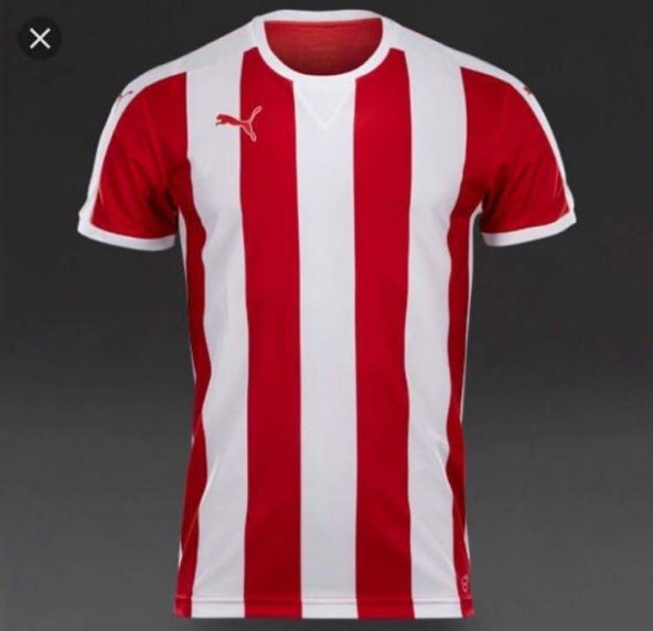 Novi  Puma dres FK Crvena zvezda 2016