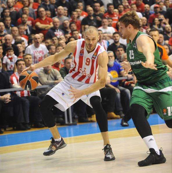 Marko Simonović Crvena zvezda Panatinaikos