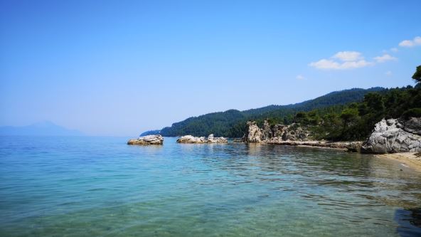 Cene namirnica u marketima na Sitoniji 2025