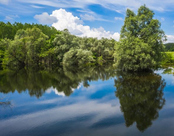 Dunav FOTOGRAFIJE