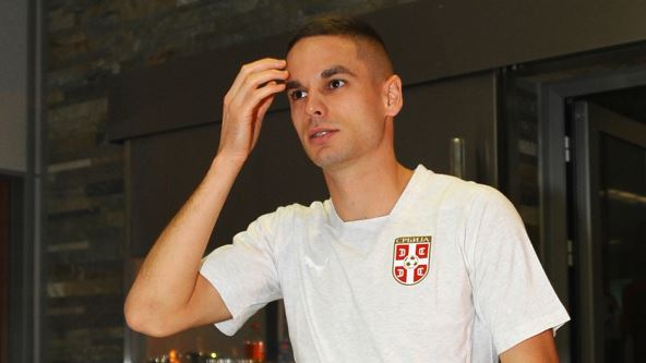 mladen krstajic reprezentacija srbija svetsko prvenstvo branislav ivanovic jovic gacinovic