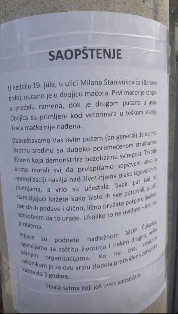 Mački pucano u usta zlostavljanje životinja Banovo brdo