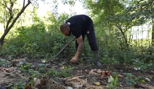 nikola borić kuća od blata miloner šuma 