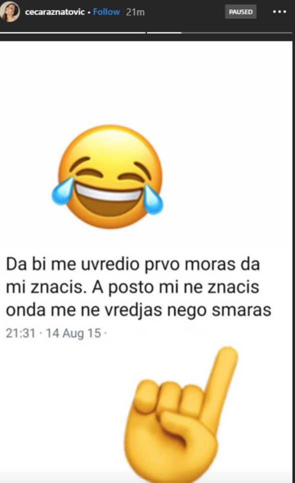 Svetlana Ceca Ražnatović Saša Vidić prozivke Instagram poruka