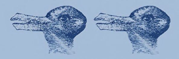 Test ličnosti optička iluzija patka ili zec šta vidite na slici