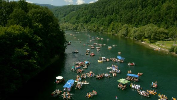 ljubovija manifestacije